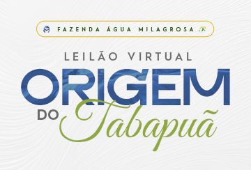 LEILÃO VIRTUAL ORIGEM DO TABAPUÃ